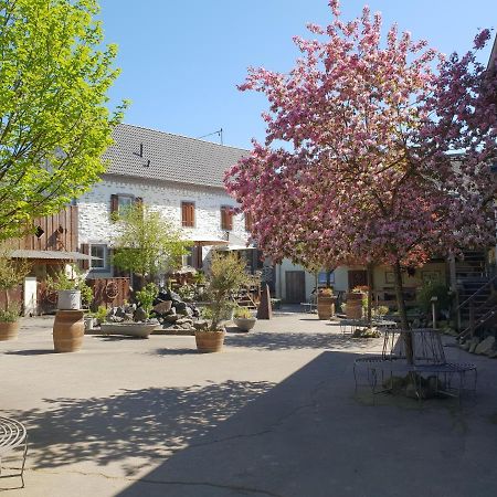 Schoene Wohnung Kleiner Onkel Auf Idyllischem Reiterhof Nahe Burg Eltz Münstermaifeld Exteriér fotografie